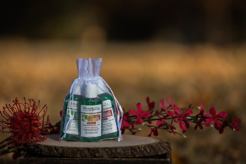 Travel Lotion Sample Pack